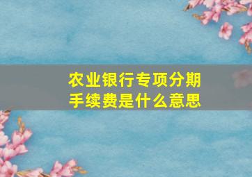 农业银行专项分期手续费是什么意思