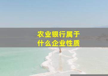 农业银行属于什么企业性质