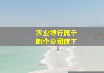 农业银行属于哪个公司旗下