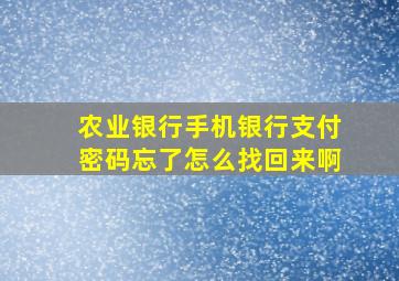 农业银行手机银行支付密码忘了怎么找回来啊