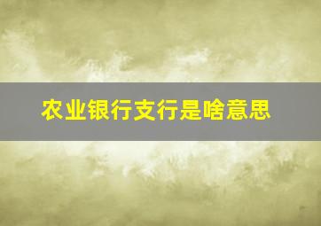 农业银行支行是啥意思