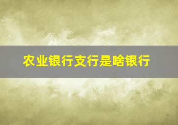 农业银行支行是啥银行