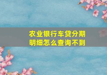 农业银行车贷分期明细怎么查询不到