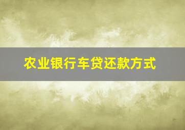 农业银行车贷还款方式