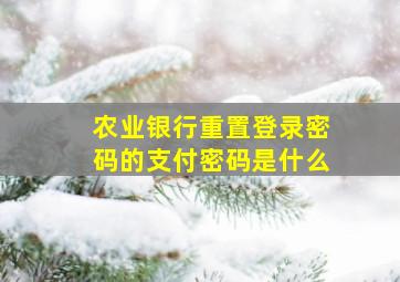 农业银行重置登录密码的支付密码是什么