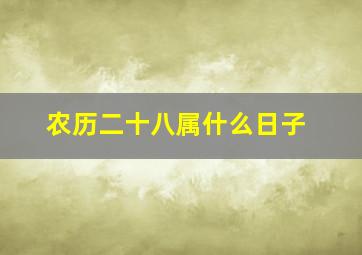 农历二十八属什么日子