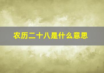 农历二十八是什么意思