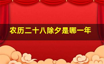 农历二十八除夕是哪一年