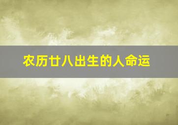 农历廿八出生的人命运