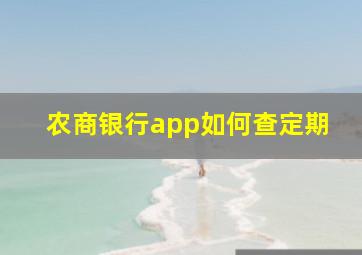 农商银行app如何查定期