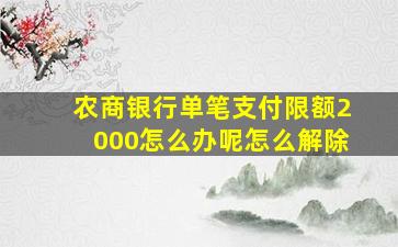 农商银行单笔支付限额2000怎么办呢怎么解除