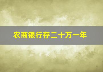 农商银行存二十万一年