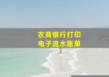 农商银行打印电子流水账单