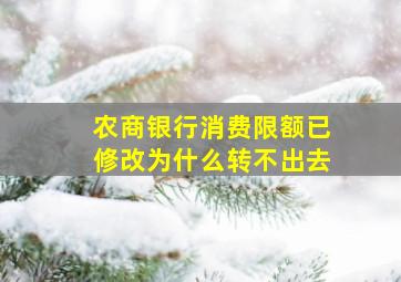 农商银行消费限额已修改为什么转不出去