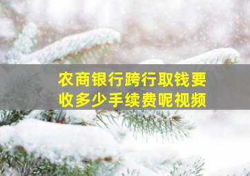 农商银行跨行取钱要收多少手续费呢视频