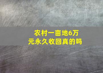 农村一亩地6万元永久收回真的吗