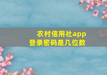 农村信用社app登录密码是几位数