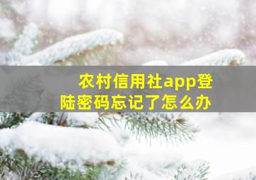 农村信用社app登陆密码忘记了怎么办