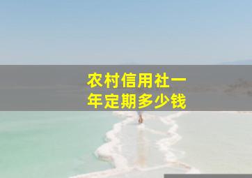 农村信用社一年定期多少钱