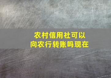 农村信用社可以向农行转账吗现在