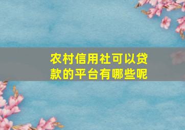 农村信用社可以贷款的平台有哪些呢