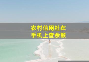 农村信用社在手机上查余额