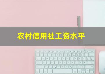 农村信用社工资水平