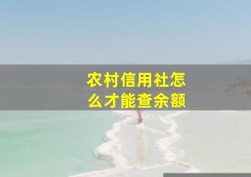 农村信用社怎么才能查余额