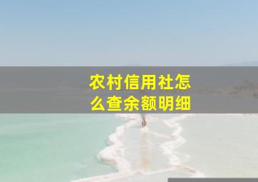 农村信用社怎么查余额明细