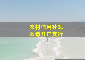 农村信用社怎么看开户支行