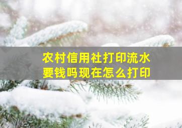 农村信用社打印流水要钱吗现在怎么打印