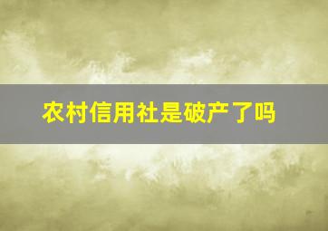 农村信用社是破产了吗