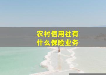 农村信用社有什么保险业务