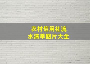 农村信用社流水清单图片大全