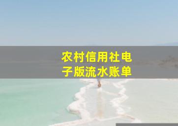 农村信用社电子版流水账单