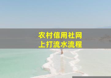 农村信用社网上打流水流程