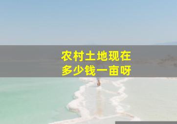 农村土地现在多少钱一亩呀