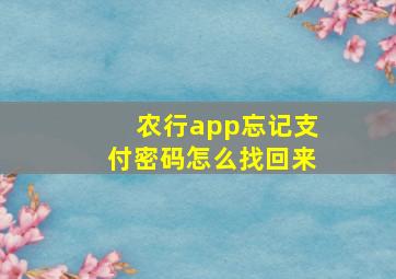 农行app忘记支付密码怎么找回来