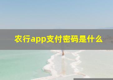 农行app支付密码是什么