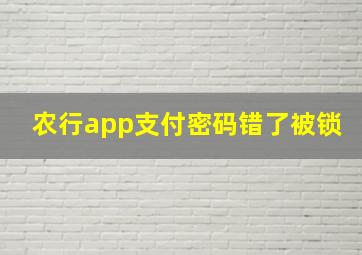 农行app支付密码错了被锁