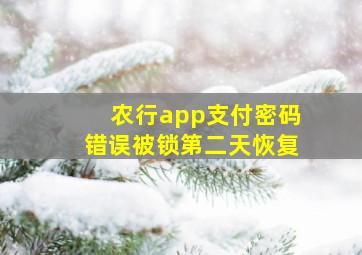 农行app支付密码错误被锁第二天恢复