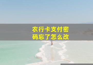 农行卡支付密码忘了怎么改