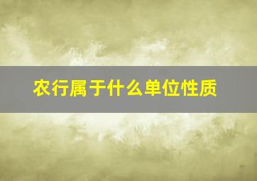 农行属于什么单位性质