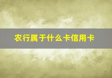 农行属于什么卡信用卡