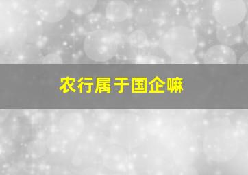 农行属于国企嘛