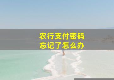 农行支付密码忘记了怎么办