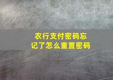 农行支付密码忘记了怎么重置密码