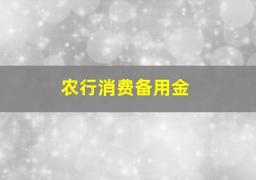 农行消费备用金