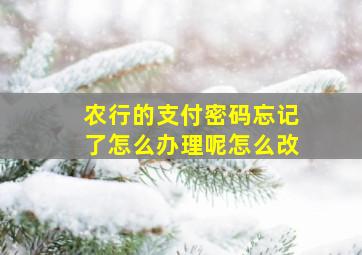 农行的支付密码忘记了怎么办理呢怎么改