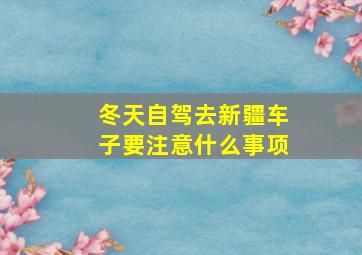 冬天自驾去新疆车子要注意什么事项